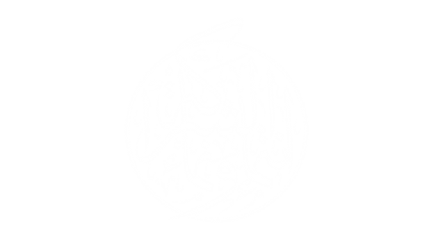 برنامج الشراكة الطلابية