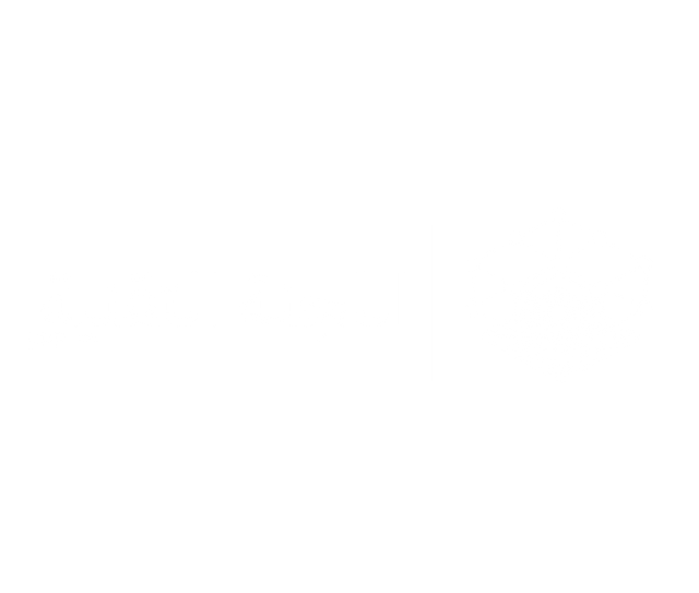 اللجنة التقنية