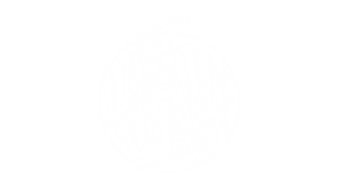 برنامج الشراكة الطلابية